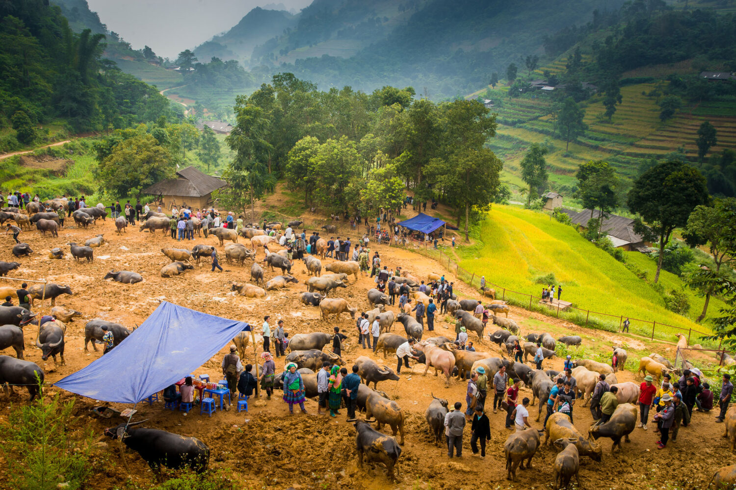 hanoi tours