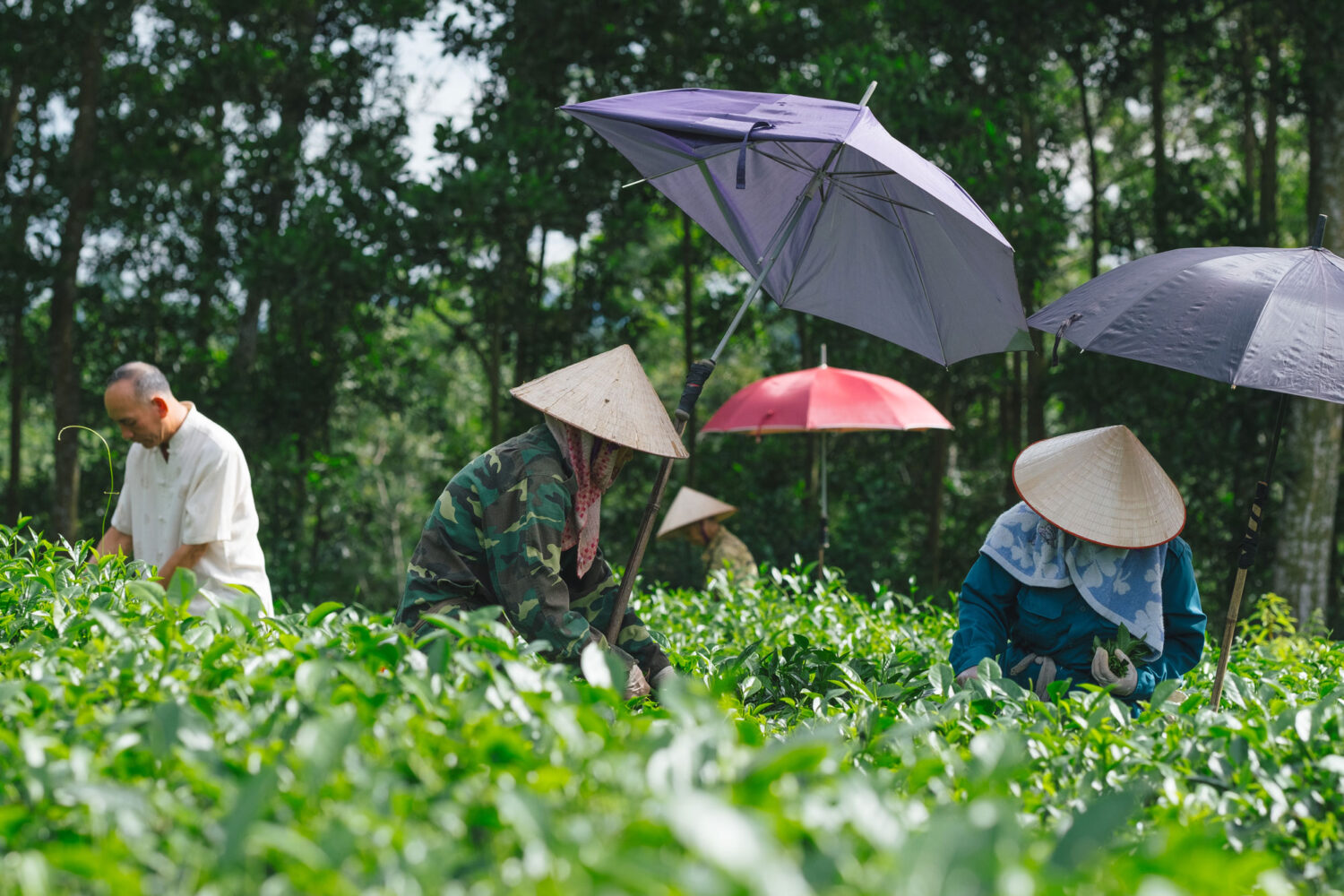 travelling around vietnam