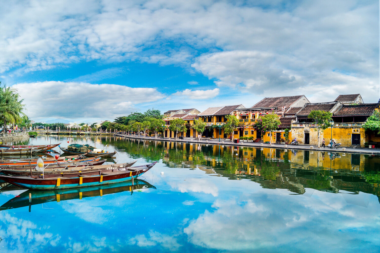 tours in hoi an