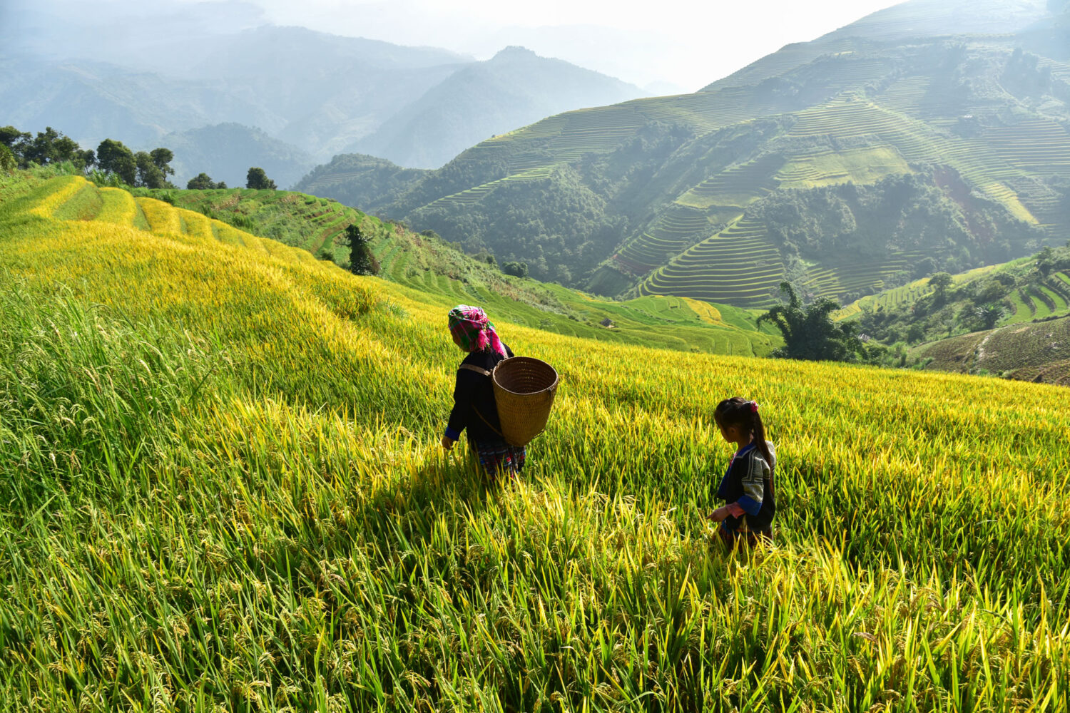 vietnam tourist destinations