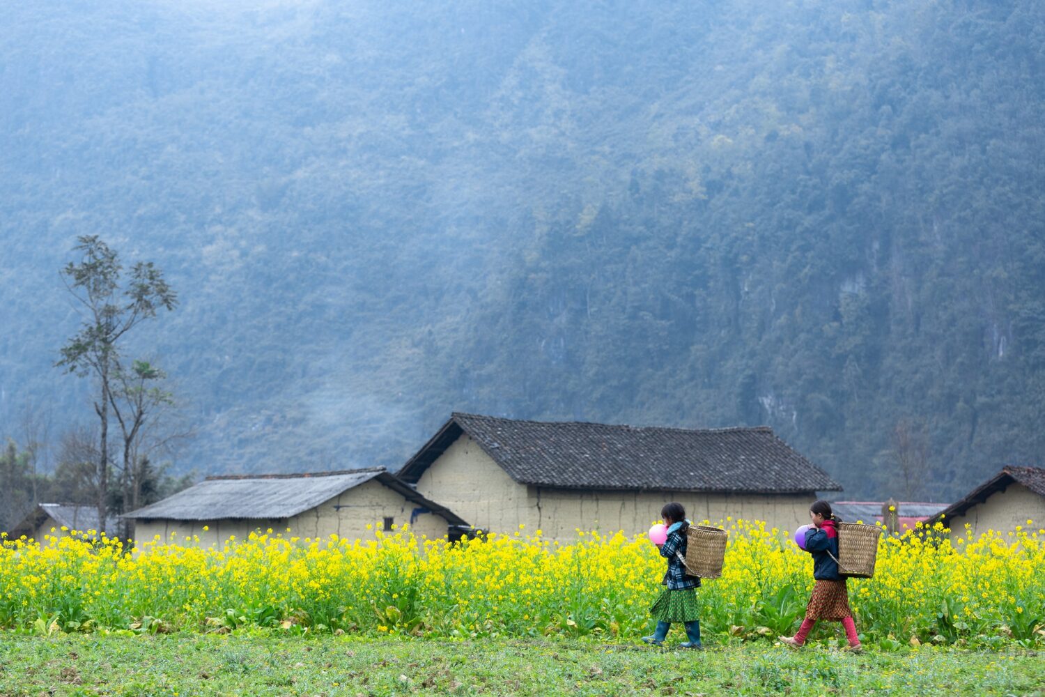 trekking vietnam