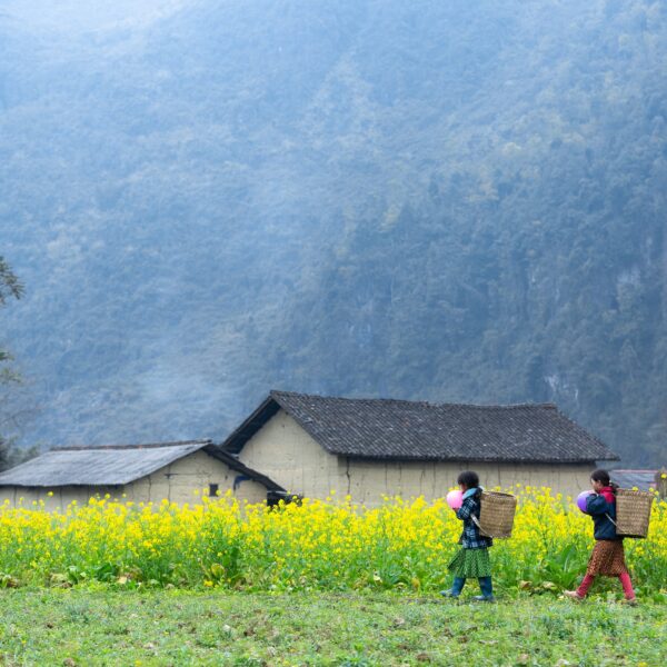 trekking vietnam