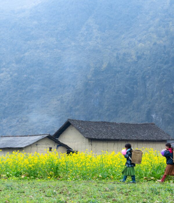 trekking vietnam