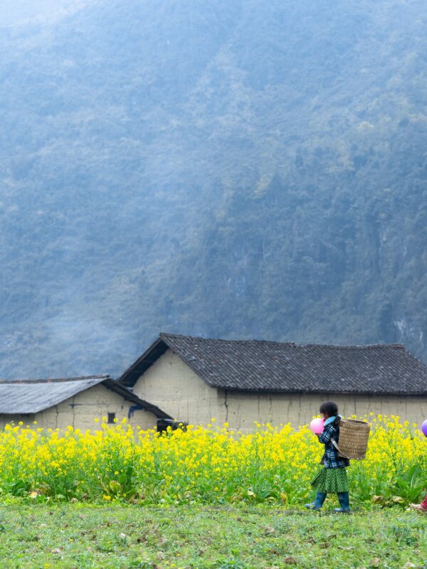 trekking vietnam