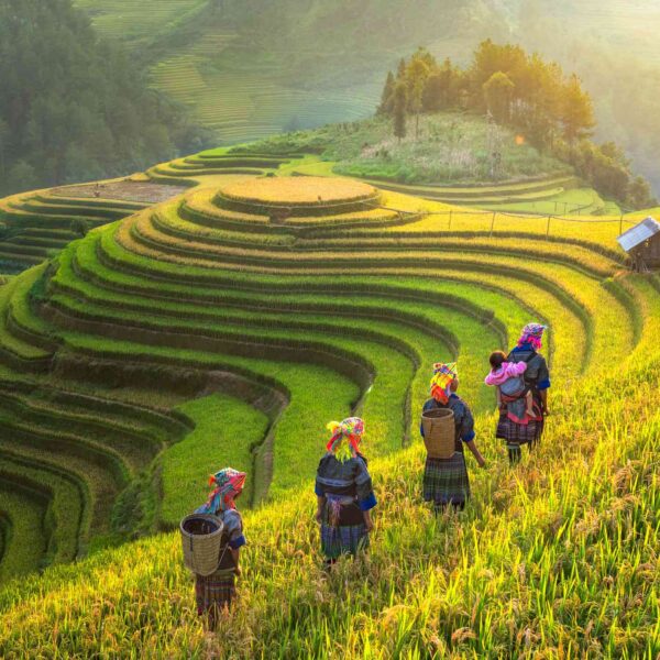 northern vietnam